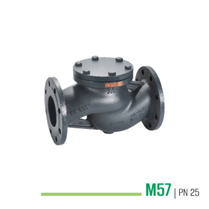 M57 - Valvola di ritegno a flusso avviato con molla