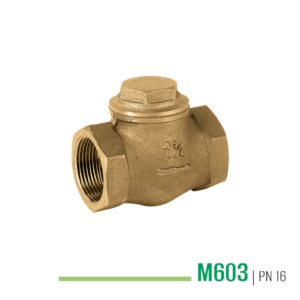M603 - Valvola di ritegno a globo